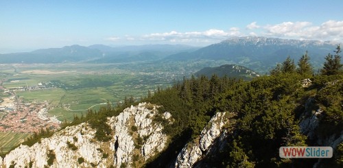 photo_440x220_02