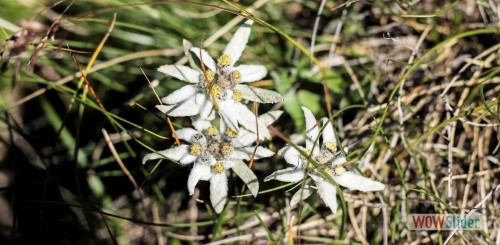 photo_440x220_04